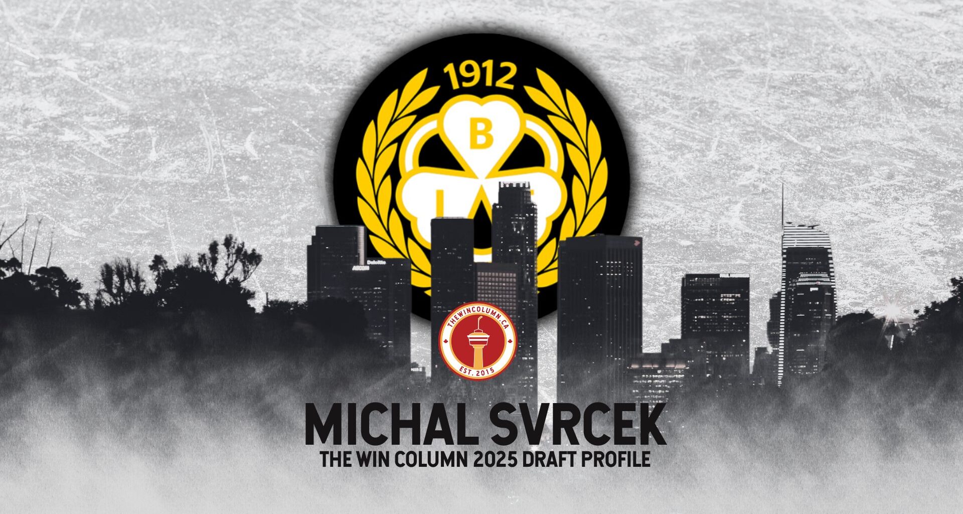 Michal Svrcek 2025 NHL Draft Profile
