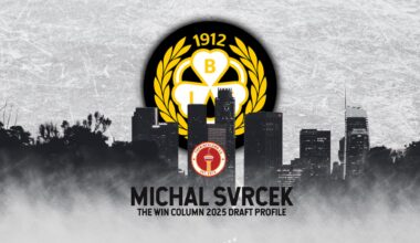 Michal Svrcek 2025 NHL Draft Profile
