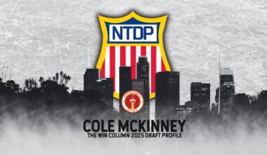 Cole McKinney 2025 NHL Draft profile