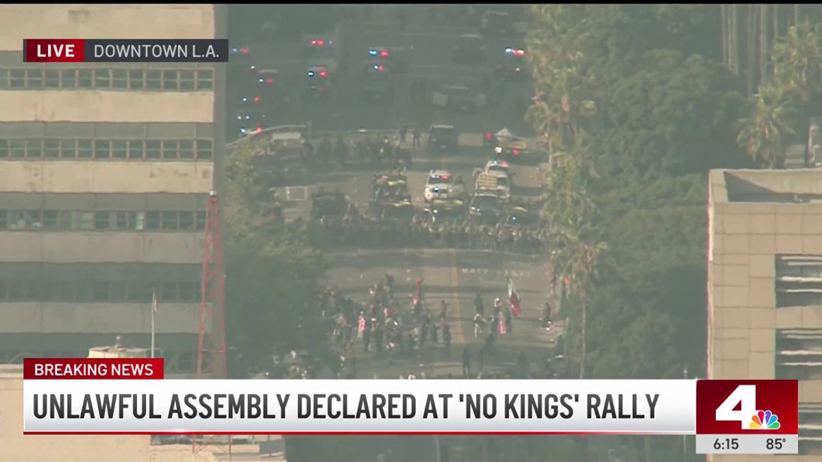 Violent ‘agitators’ arrested at ‘No Kings’ rally – NBC Los Angeles