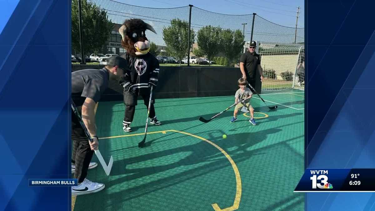 Pelham opens NHL street hockey court
