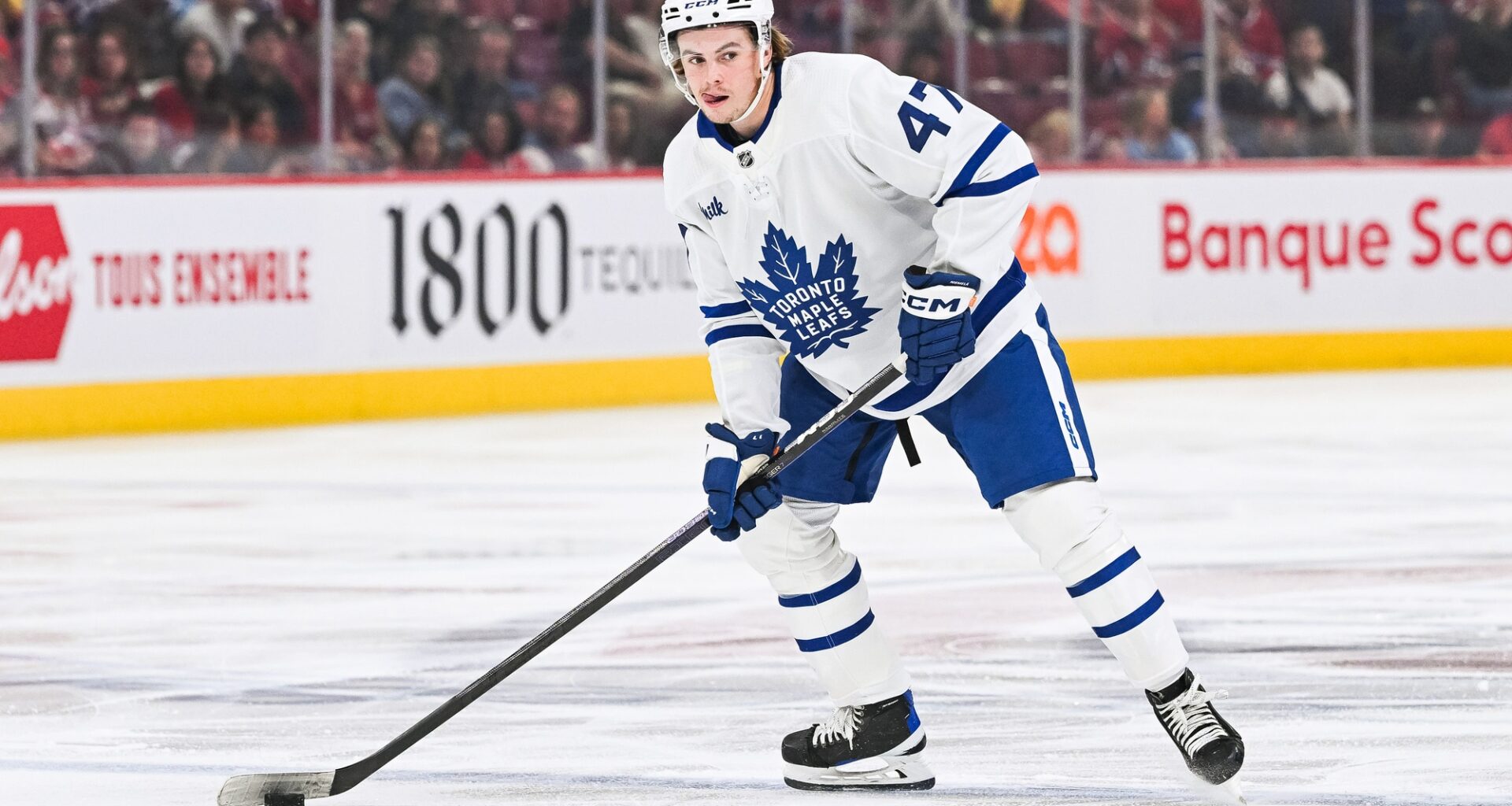 Maple Leafs Lose One of Their Top Defensive Prospects Ahead of the 2025-26 Season