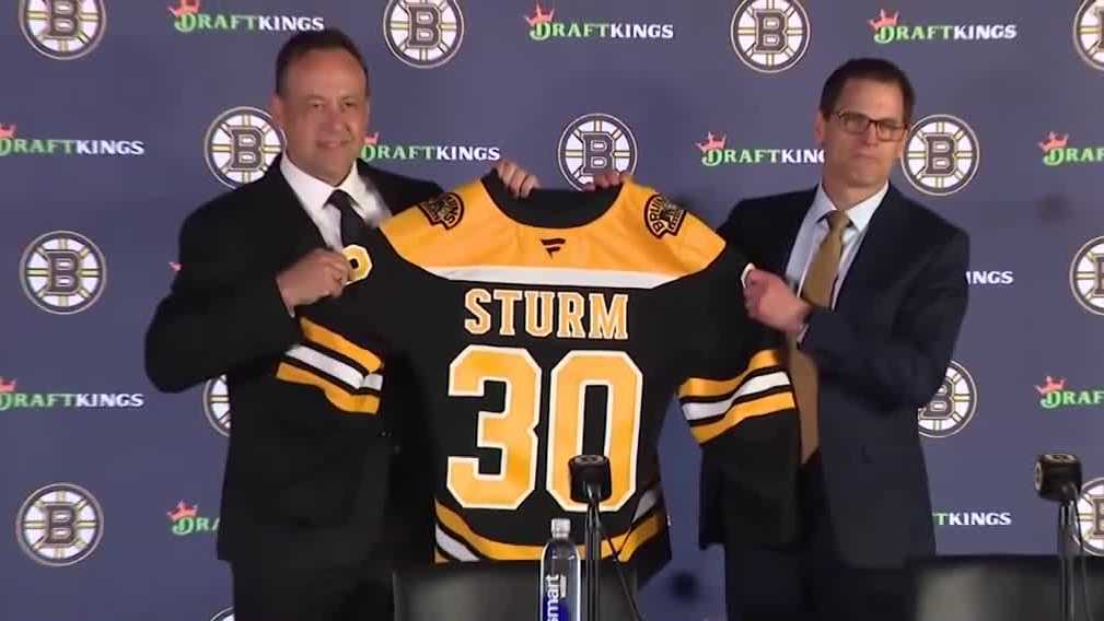 Bruins head coach Marco Sturm officially introduced