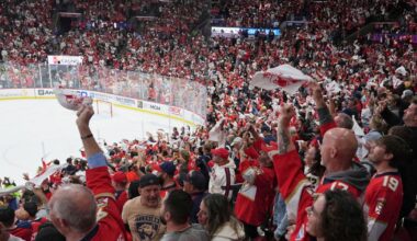 Southern hockey surge: NHL teams thrive in non-traditional markets, from Texas to Florida | National Sports