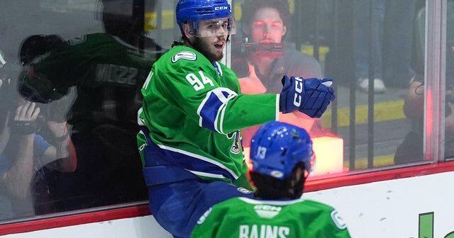 Checkers beat Canucks 4-3 in OT to force Game 6 in Calder Cup final | National Sports