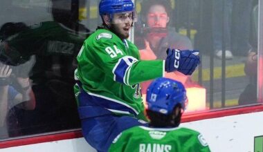 Checkers beat Canucks 4-3 in OT to force Game 6 in Calder Cup final | National Sports