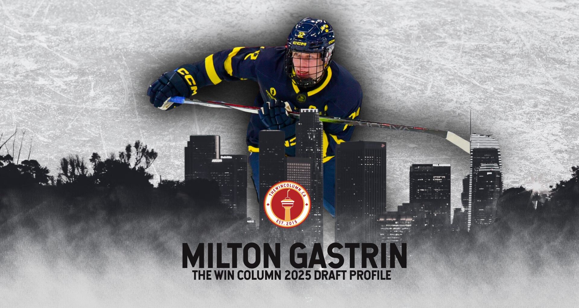 Milton Gastrin 2025 NHL Draft Profile