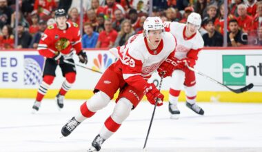 Key players in the Detroit Red Wings prospect pool