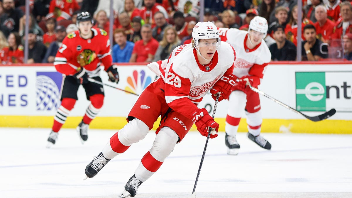 Key players in the Detroit Red Wings prospect pool