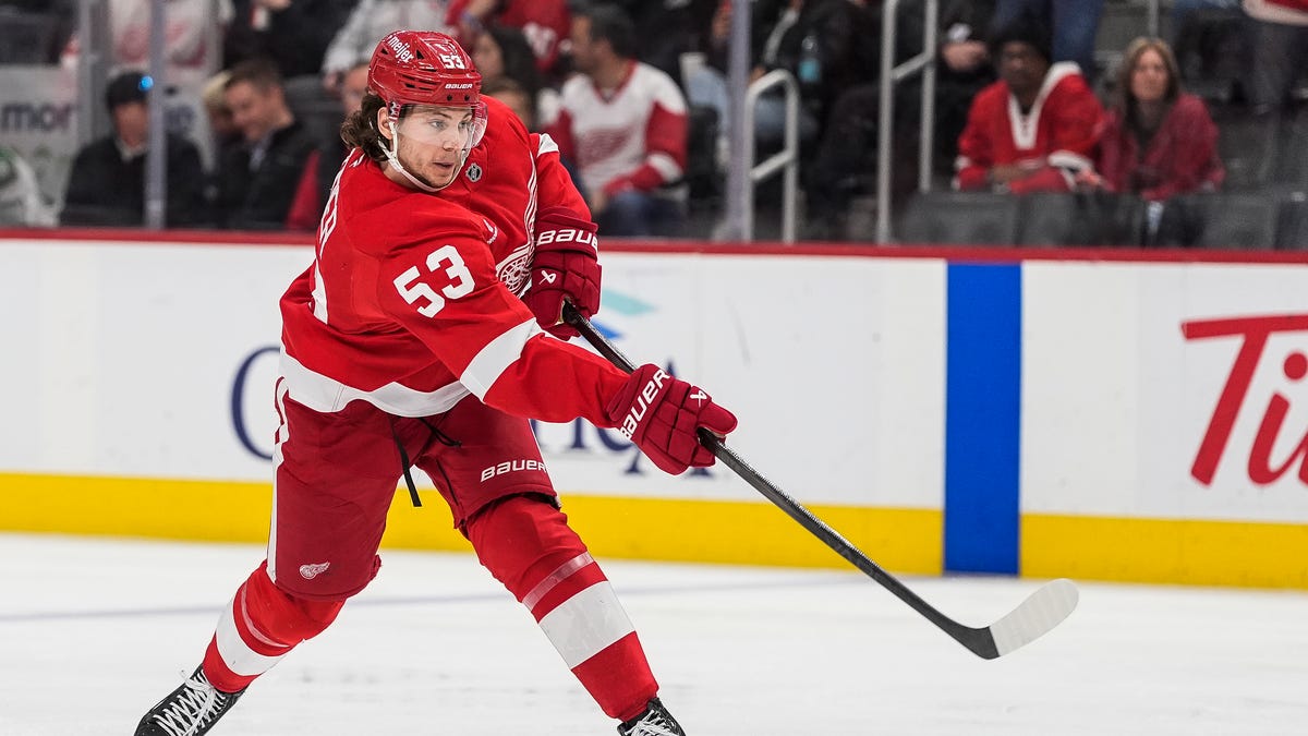 Detroit Red Wings' Moritz Seider named to Germany's Olympic roster