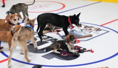 Date, time, participants, where to watch