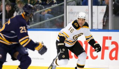 Boston Bruins name Marco Sturm as next head coach