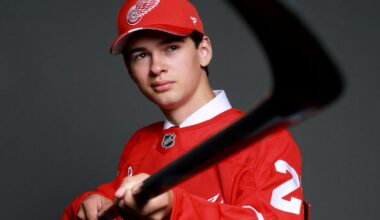 Detroit Red Wings NHL draft picks in 2025: Meet the new kids