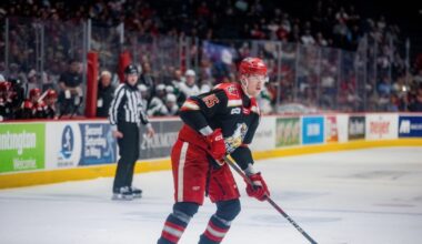 Grand Rapids Griffins | 2024-25 Player in Review: Elmer Soderblom
