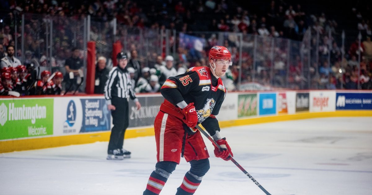 Grand Rapids Griffins | 2024-25 Player in Review: Elmer Soderblom