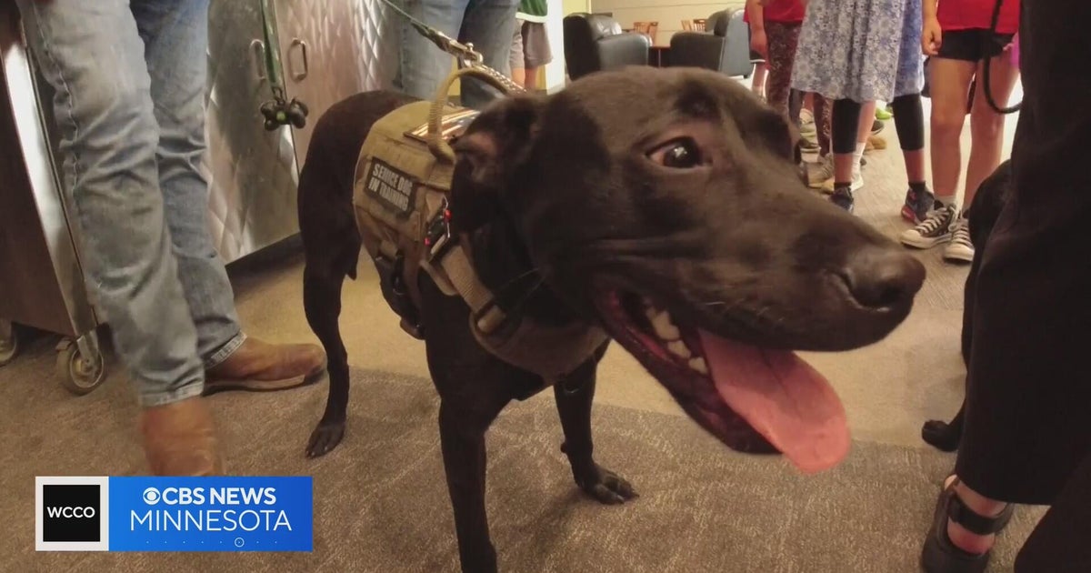 Wild's service dog Rookie heads to new home with local veteran