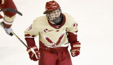 Boston College forward James Hagens (10). (AP Photo/Greg M. Cooper)