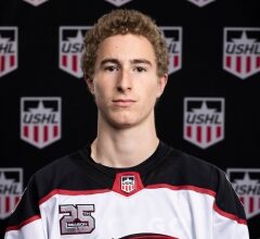 UMass Lowell hockey program nets commitment from Michigan forward