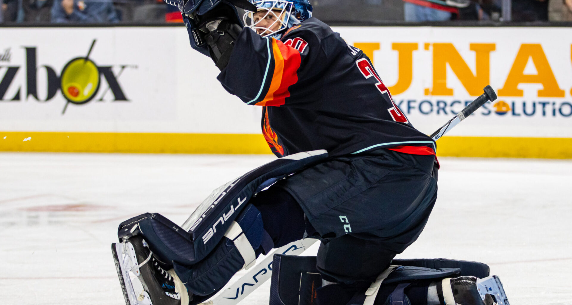 Kraken's Ales Stezka Signs in Czechia - The Hockey Writers - Coachella Valley Firebirds