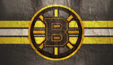 How Boston Saved The Bruins From New Hampshire