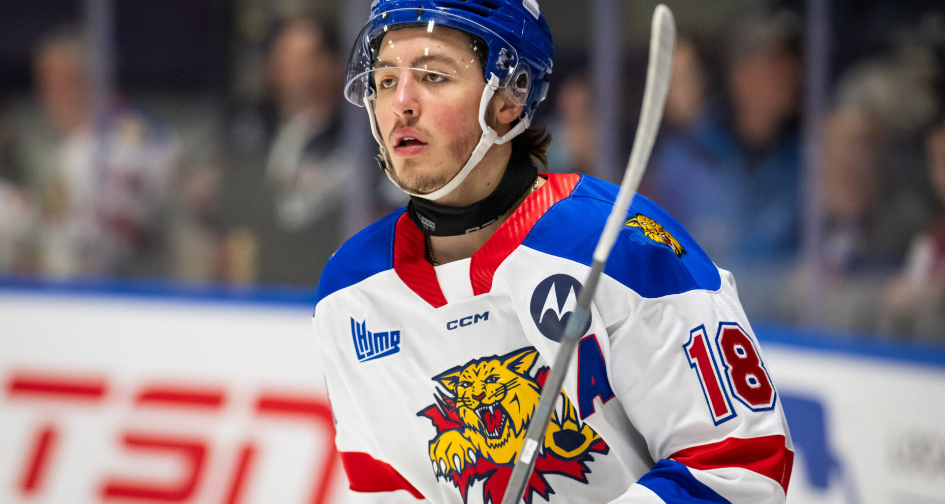 Boston Bruins 2025 Draft Preview: Projecting the First 2 Rounds - The Hockey Writers - Boston Bruins