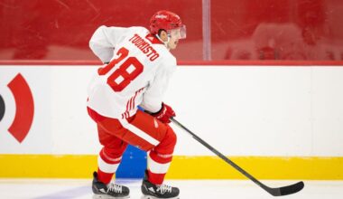 Antti Tuomisto, Red Wings prospect