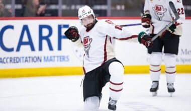Utah Mammoth's 2024-25 Report Cards: Egor Sokolov - The Hockey Writers -