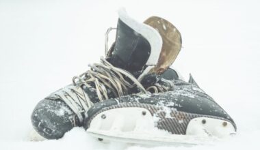 Mankato among selected host cities for World Juniors Pre-Tournament Series