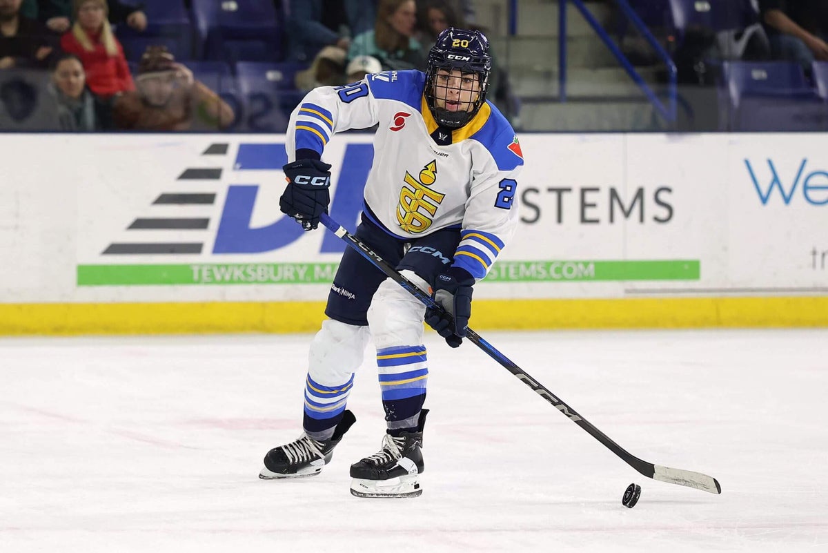 PWHL releases expansion draft protected list: Hilary Knight, Sarah Nurse go unprotected