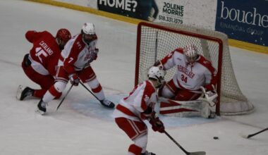 RPI Engineers men’s hockey schedule released – Troy Record