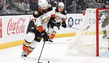 Ducks name Radko Gudas team captain – Orange County Register