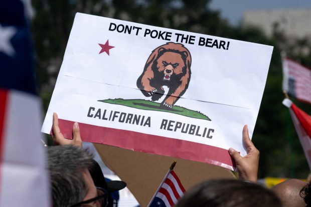 Thousands of No Kings protesters marched against the policies of...