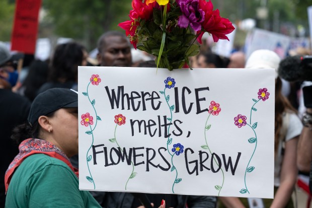 Thousands of No Kings protesters marched against the policies of...