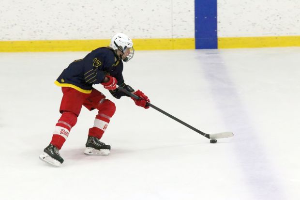 The annual high school ice hockey summer league held at...