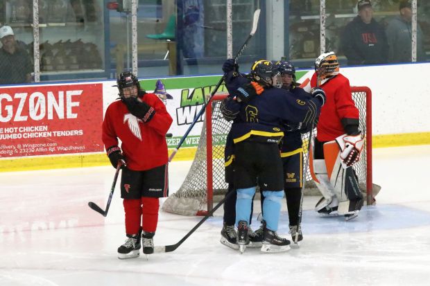 The annual high school ice hockey summer league held at...