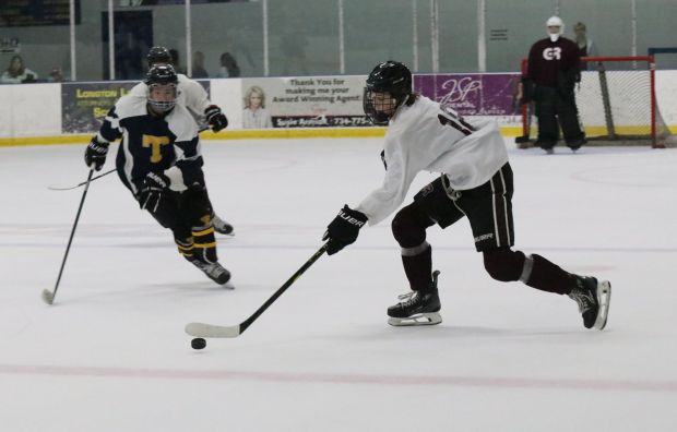 The Riverview Gabriel Richard ice hockey team earned a 2-0...