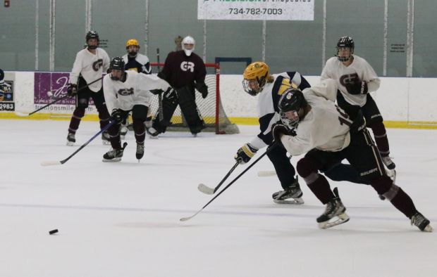 The Riverview Gabriel Richard ice hockey team earned a 2-0...