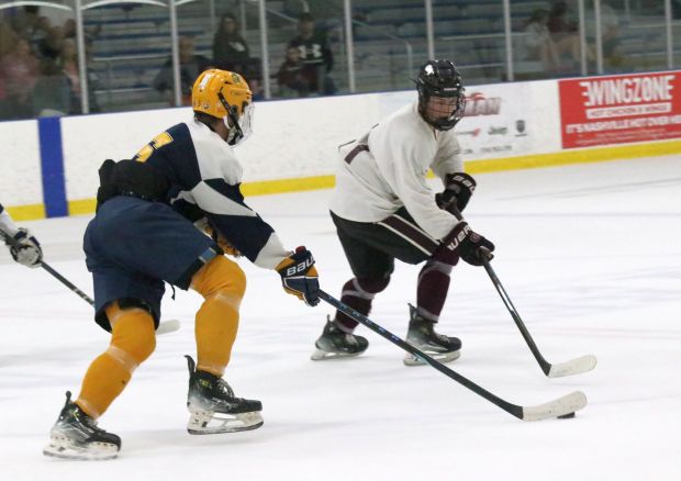 The Riverview Gabriel Richard ice hockey team earned a 2-0...