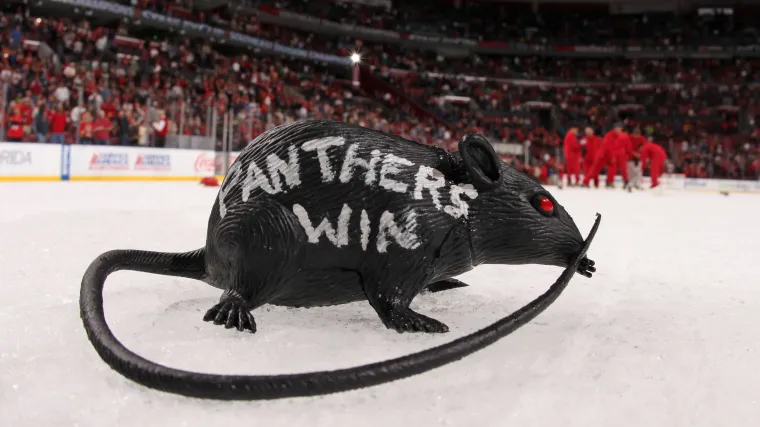 Why do Panthers fans throw rats on the ice? Explaining Florida's unique tradition in the NHL Playoffs image