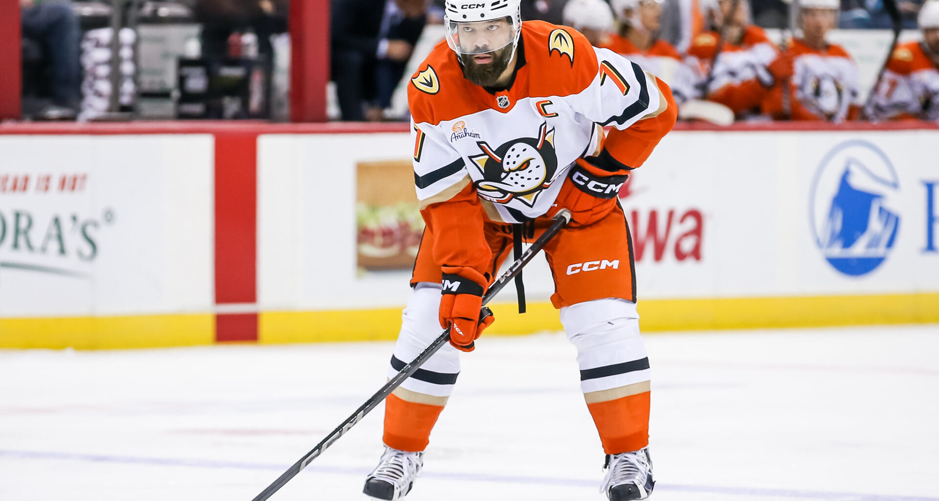 3 Anaheim Ducks Named to Preliminary 2026 Olympics Rosters - The Hockey Writers - Anaheim Ducks