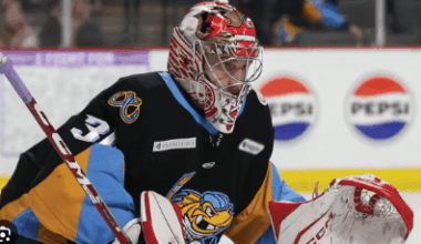 Jan Bednar, Toledo Walleye, Detroit red wings
