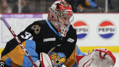Jan Bednar, Toledo Walleye, Detroit red wings