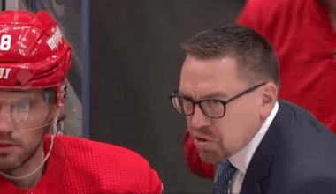 Jay Varady, Red Wings