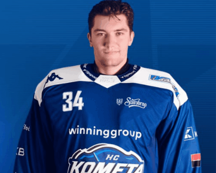 Michal Postava, Red Wings