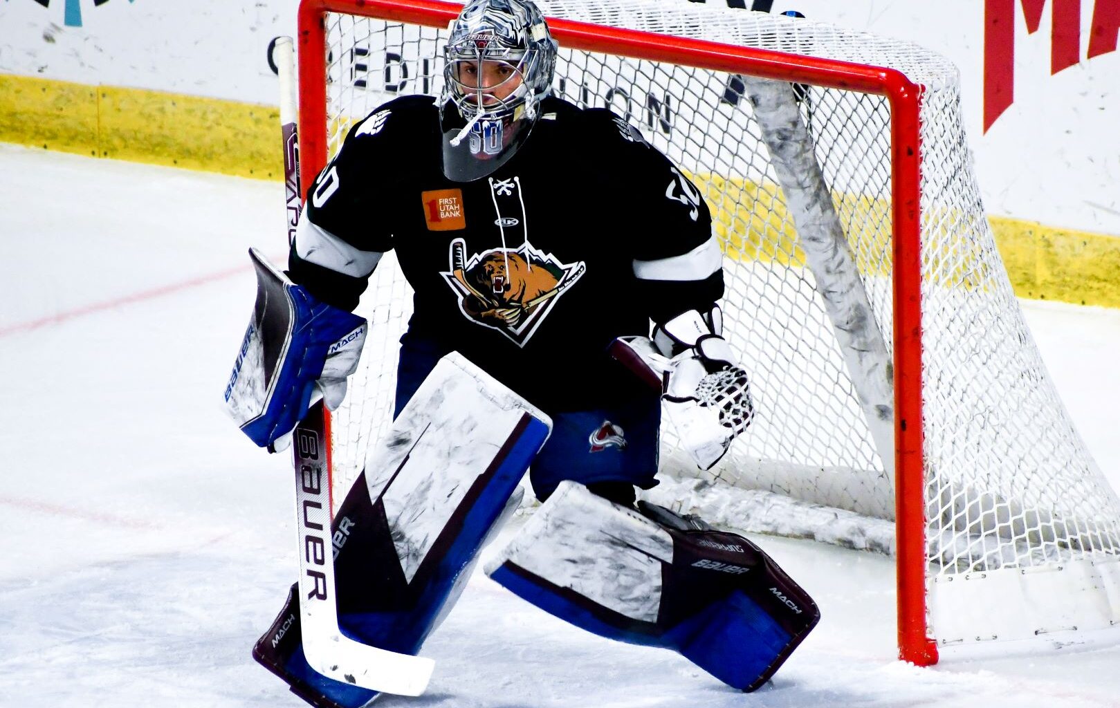 Utah Grizzles Most Likely Relocating With Potential Sale - The Hockey Writers - Utah Mammoth