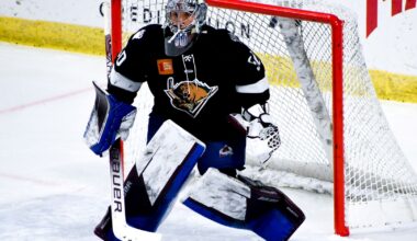 Utah Grizzles Most Likely Relocating With Potential Sale - The Hockey Writers - Utah Mammoth