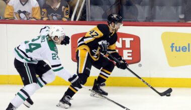 Adam Johnson Transforms Grief into Memorable NHL Victory