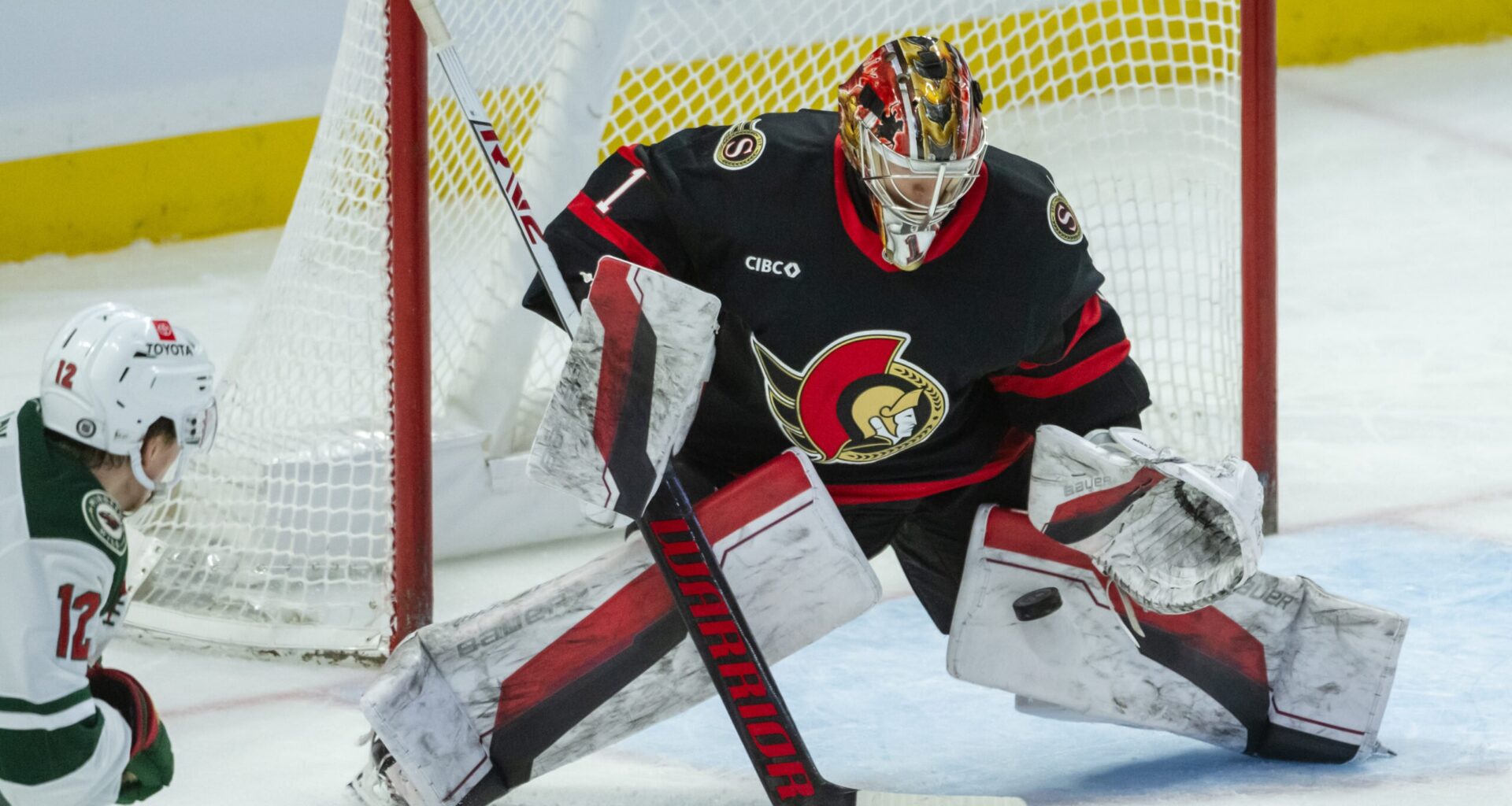 The Sens Appear to Be Going With Youth for the Backup Role