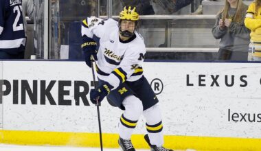NHL Draft: 10 prospects who could interest the Flyers at pick No. 31
