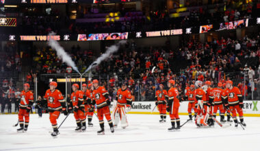 The Good, Bad, & Ugly Ducklings